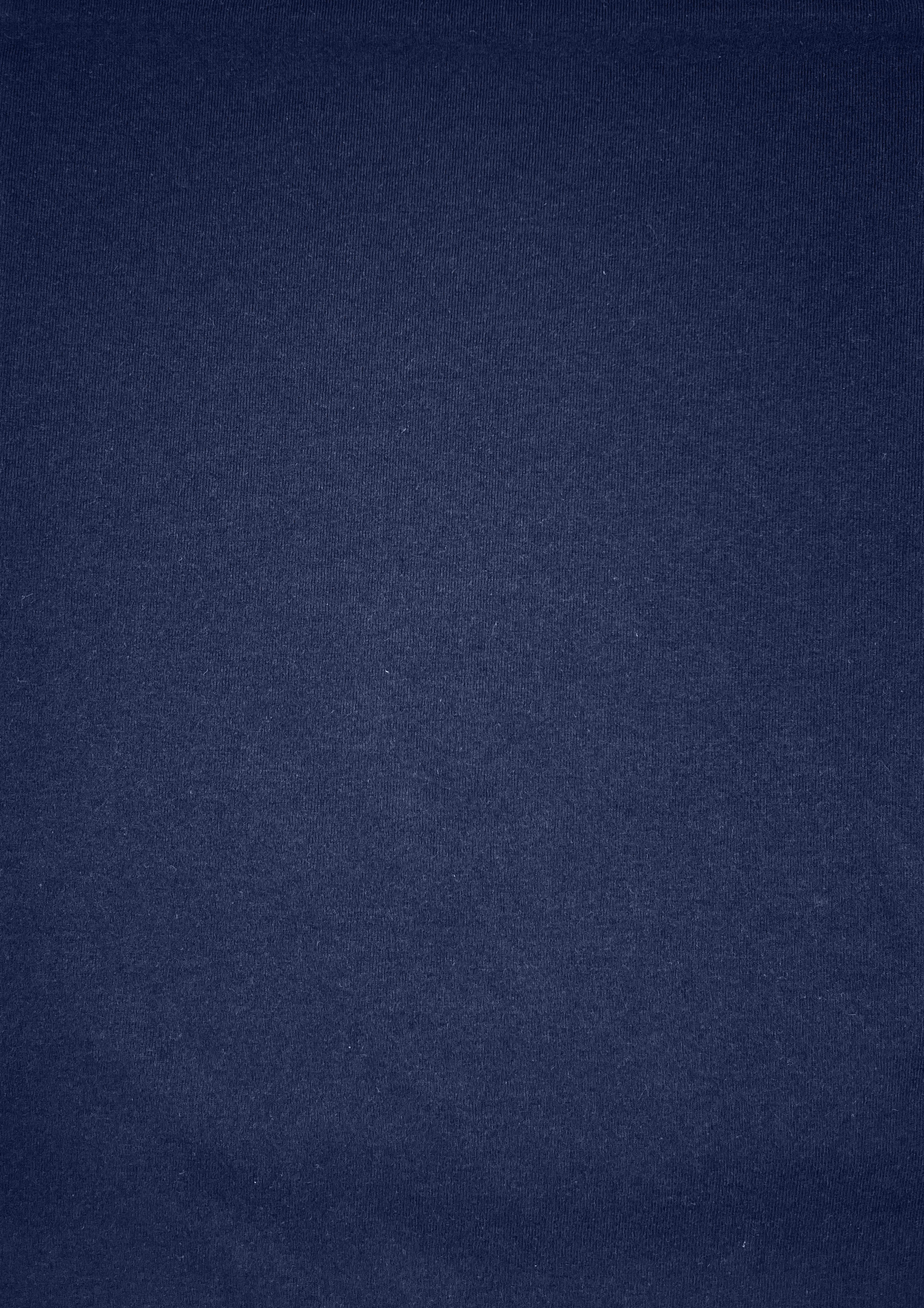 Puneh Popular Knitted SJ Fabric
