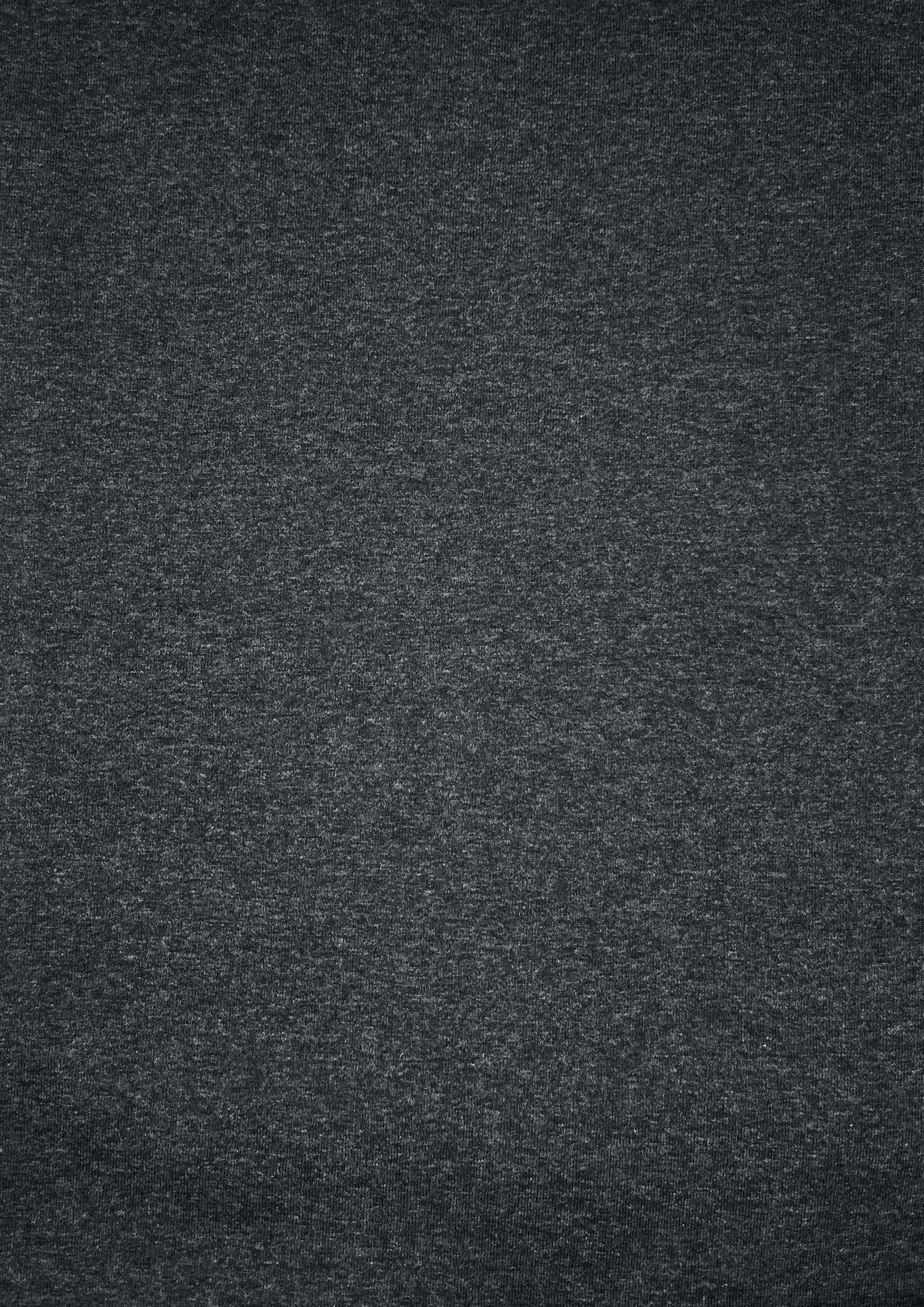 Puneh Popular Knitted SJ Fabric